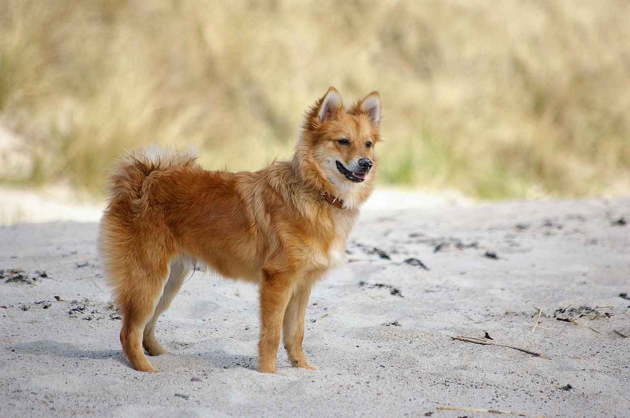 Best Drip Tips for Enhanced Flavor & Comfort 2 How Do Drip Tips Affect Flavor?