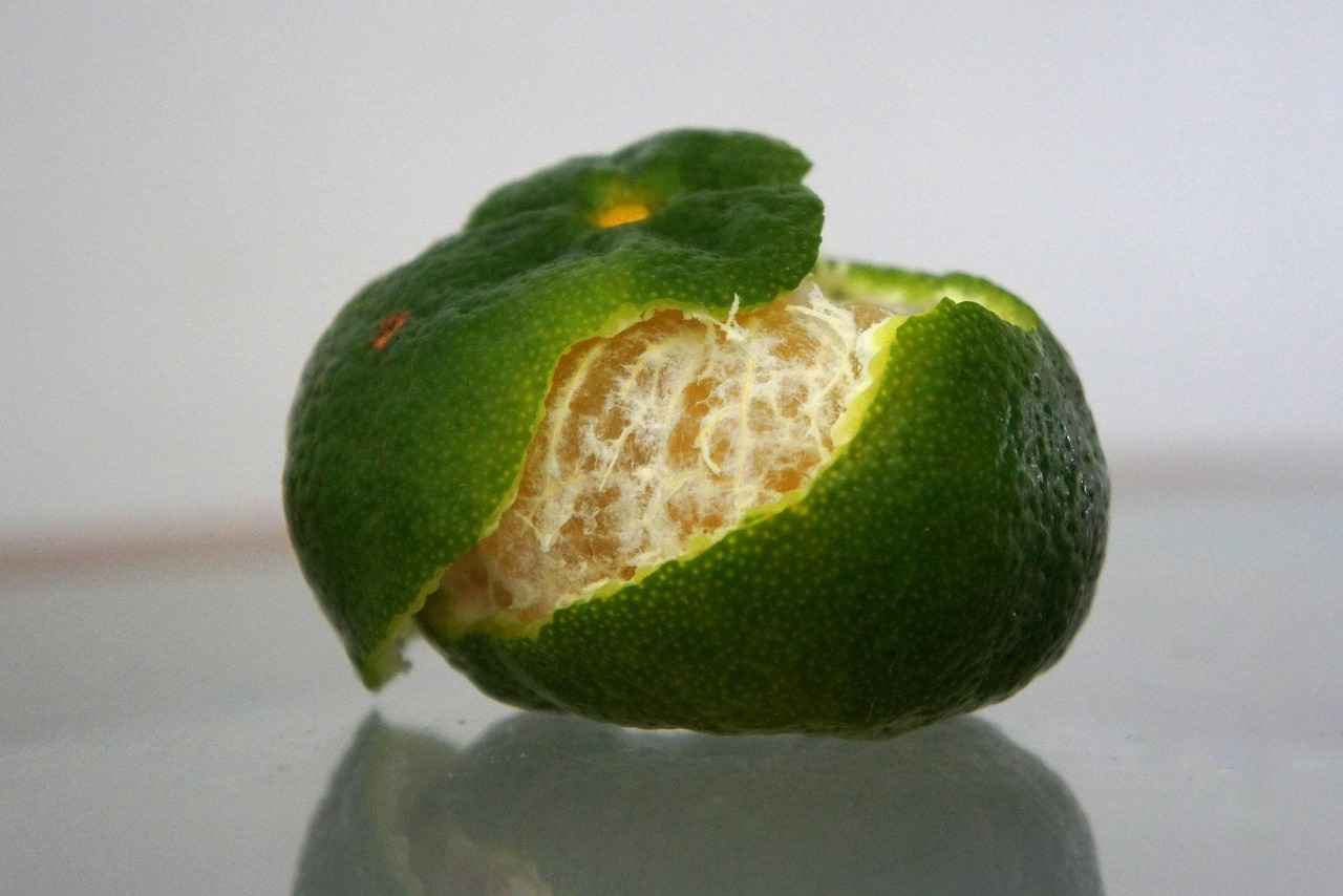 How to Store Your Fruity E-Liquids Properly?