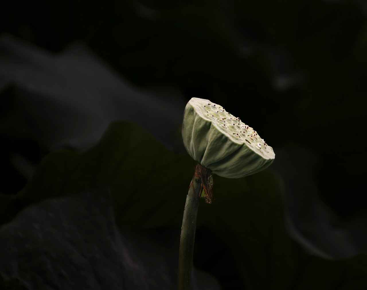 Best Pod Systems of 2025: A Buyer’s Guide 3 Top Features to Look for in a Pod System