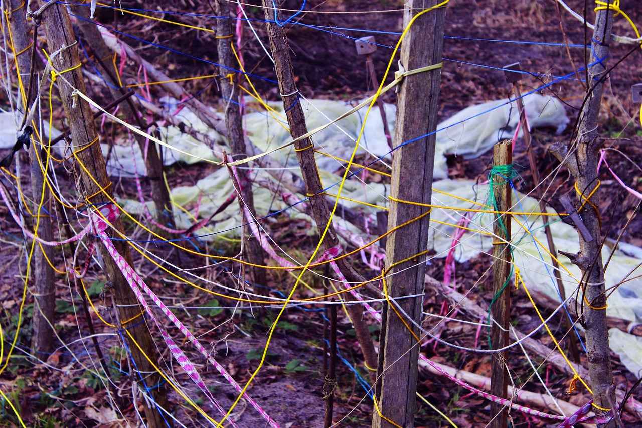 Best Pod Systems of 2025: A Buyer’s Guide 4 Best Pod Systems of 2025: Our Top Picks