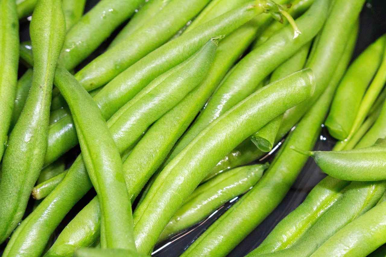 Best Refillable Vape Pods: Top Picks for 2025 3 Top Features to Look for in Refillable Vape Pods