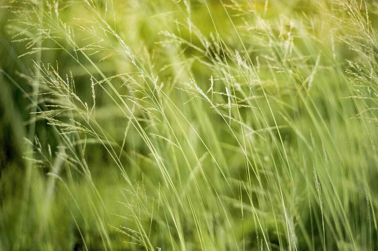 Why Choose Eco-Friendly Vaping?