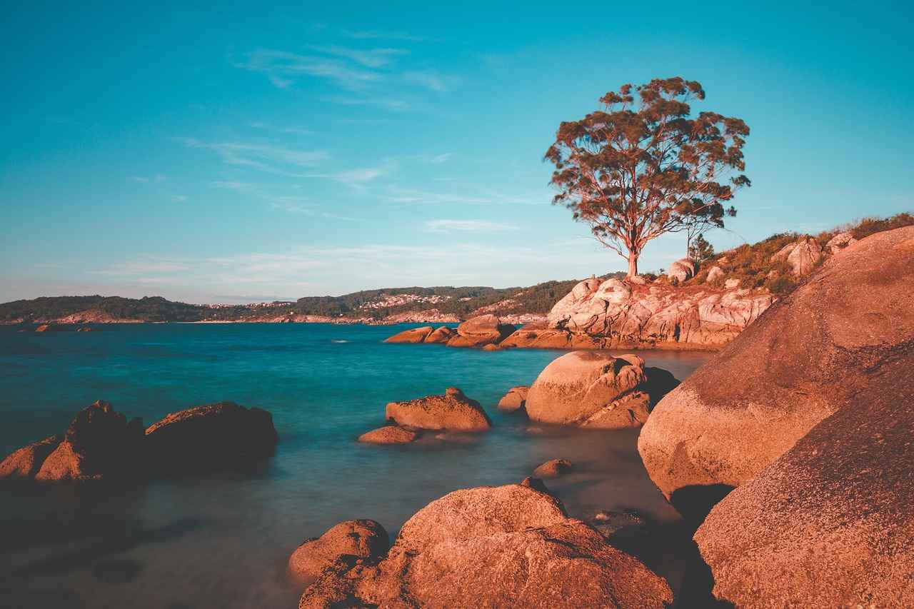 How Can Mindfulness and Stress Management Techniques Help?