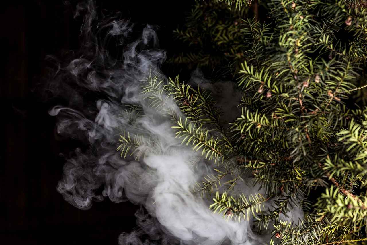 What Do Studies Say About Vaping and Lung Health?