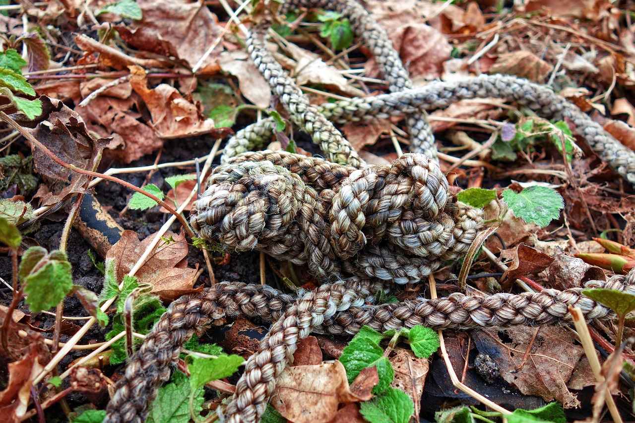 Cost Analysis: Are Mesh Coils Worth It?