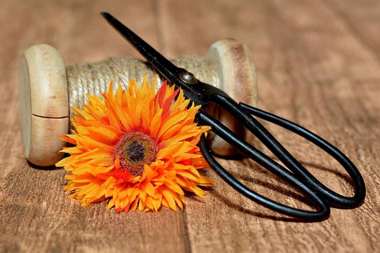 Which Coils Last Longer?