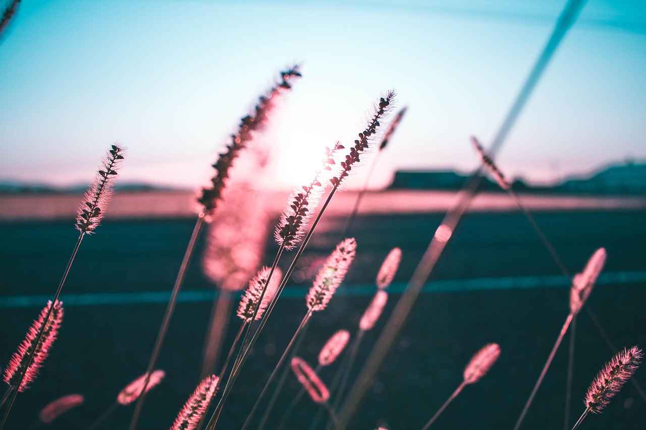 What Role Will Regulation Play in the Vaping Industry?
