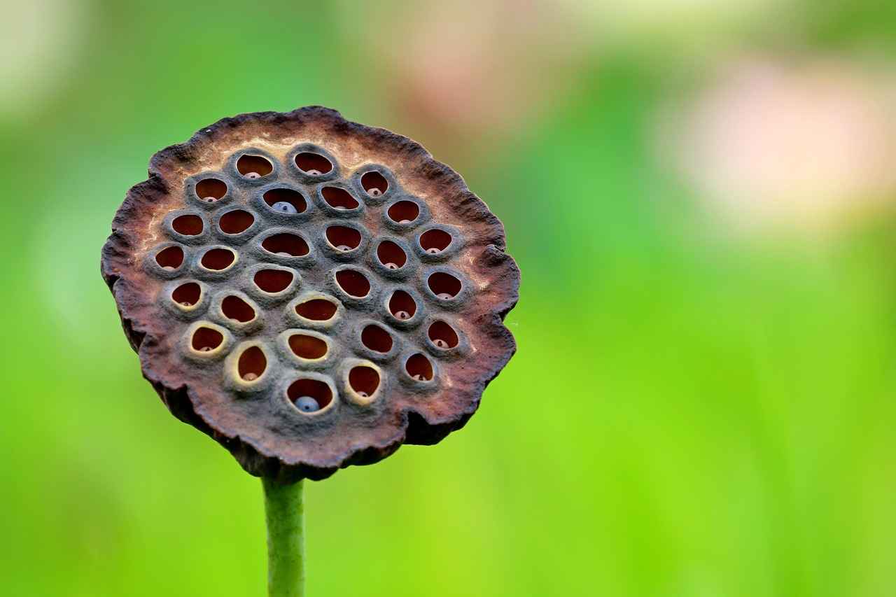 Top 5 Pod Mods with the Best Battery Life 3 How to Extend the Battery Life of Your Pod Mod?