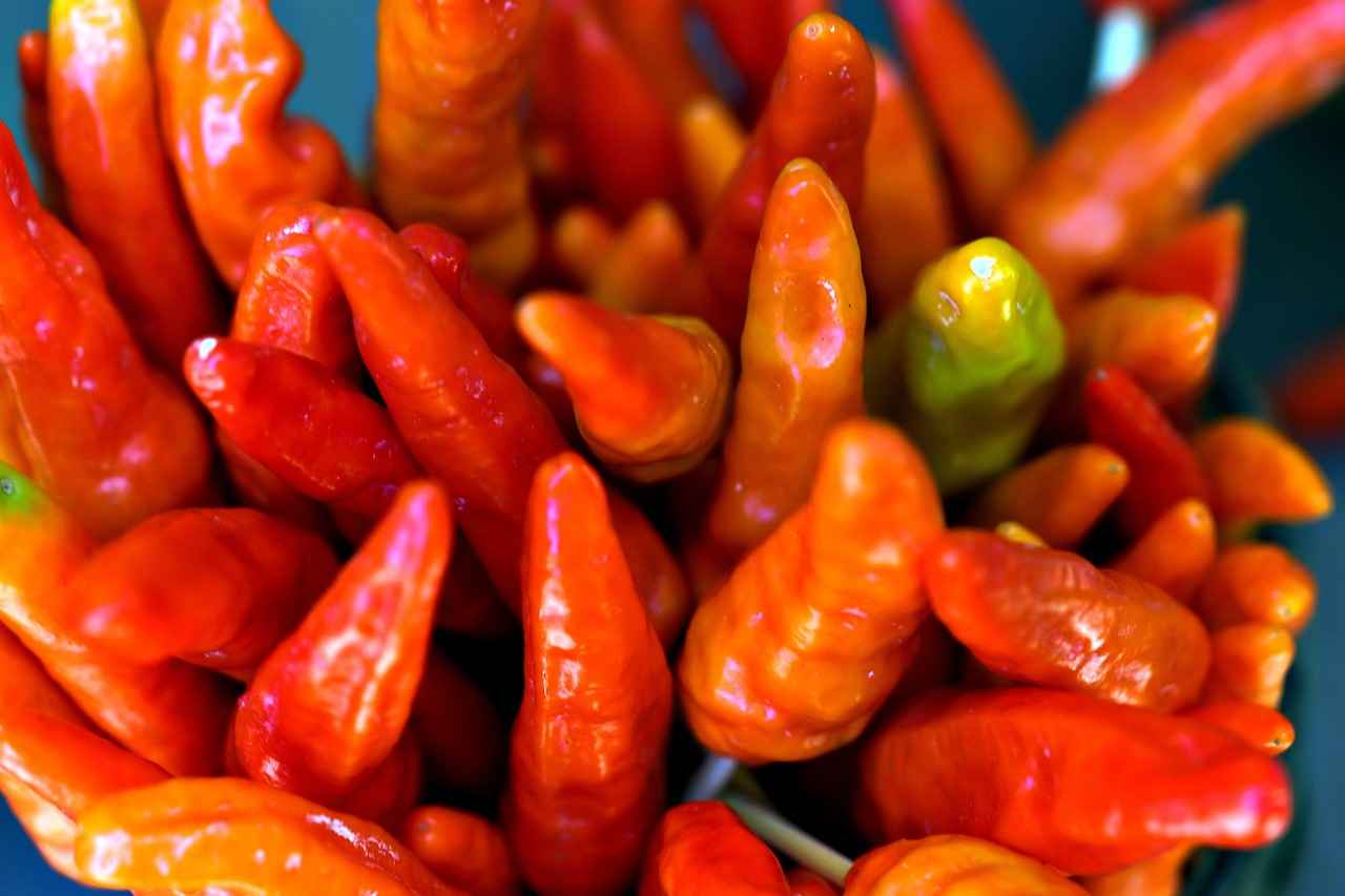 Flavor Profiles: What to Expect?