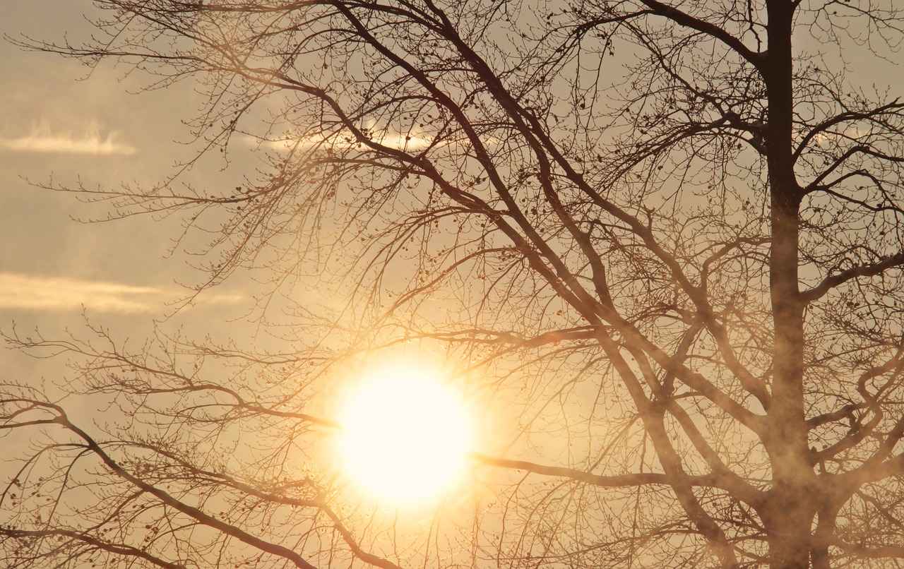 What Are the Benefits of Vaping in the Morning?