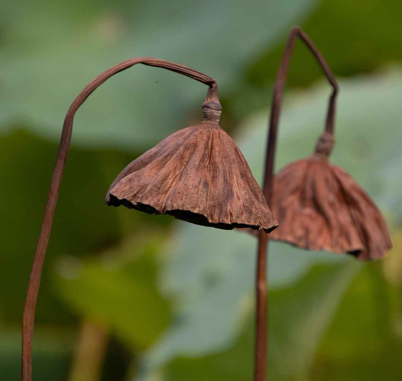 How to Maintain Your Pod System for Longevity