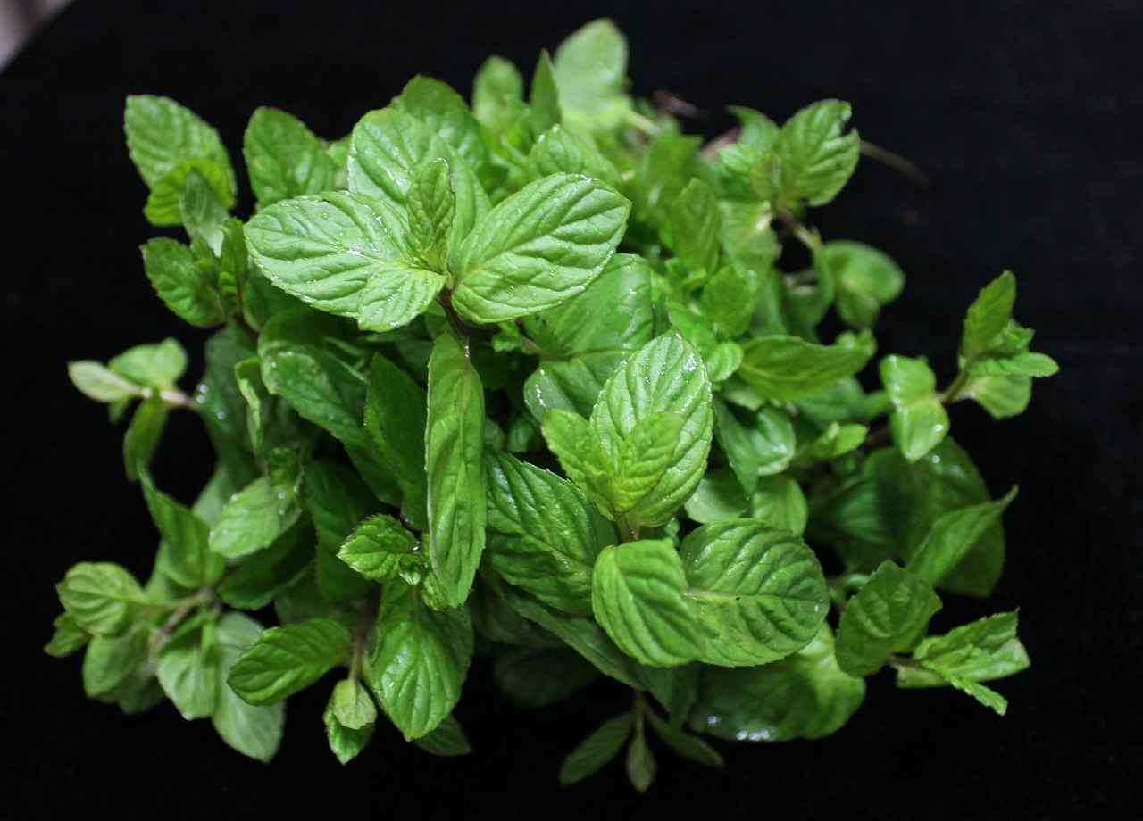 Are There Any Risks Associated with Menthol Vaping?
