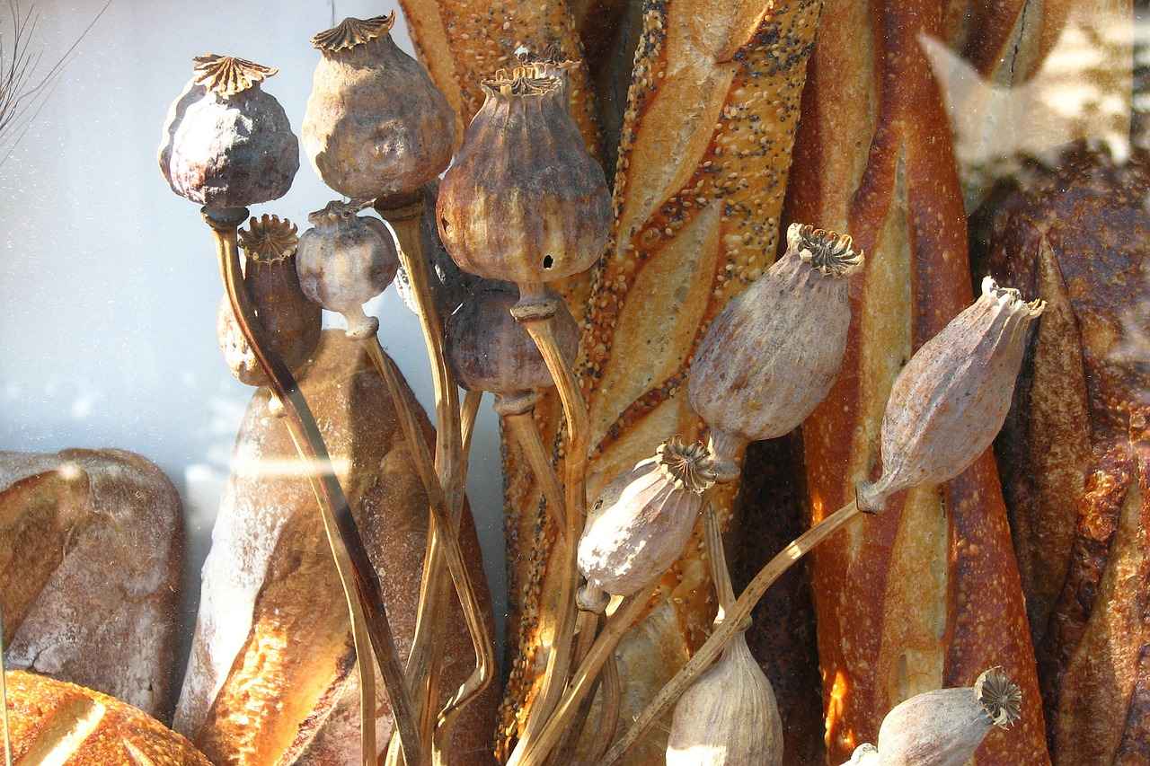 What Users Say: Reviews and Feedback on Battery Performance